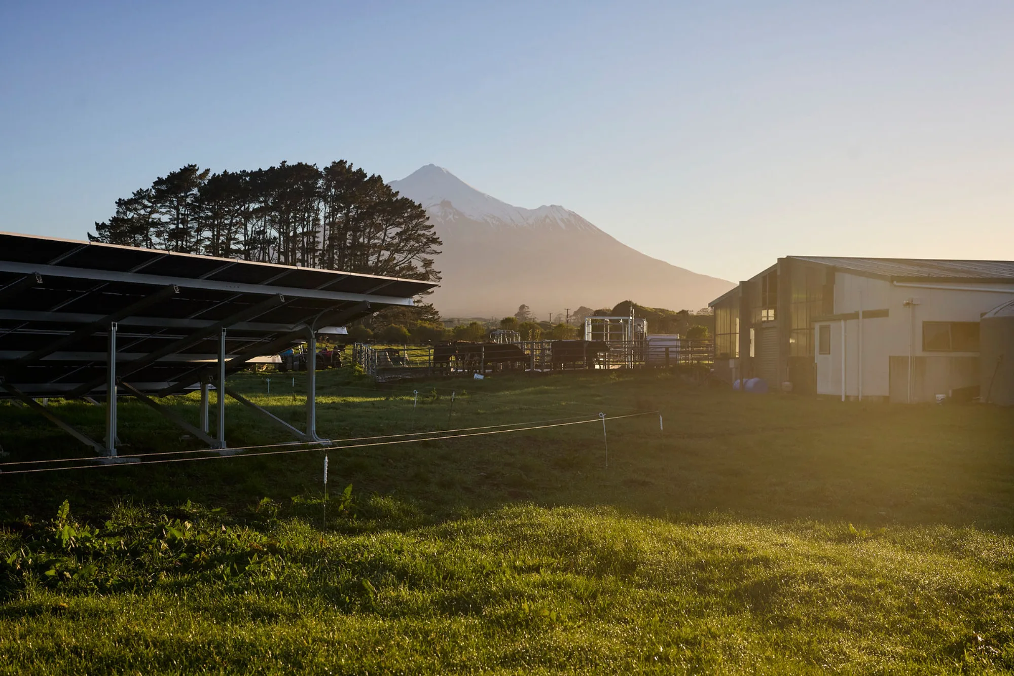 Ground-mounted solar beside a Taranaki dairy shed, with the mountain behind