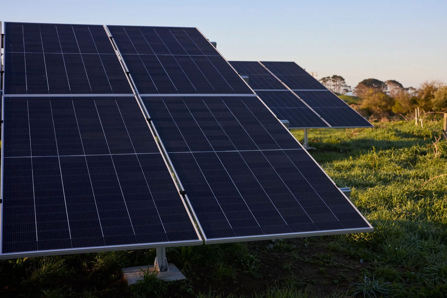 Tilted ground-mounted solar rows with grass and a walkway between them on a Taranaki farm