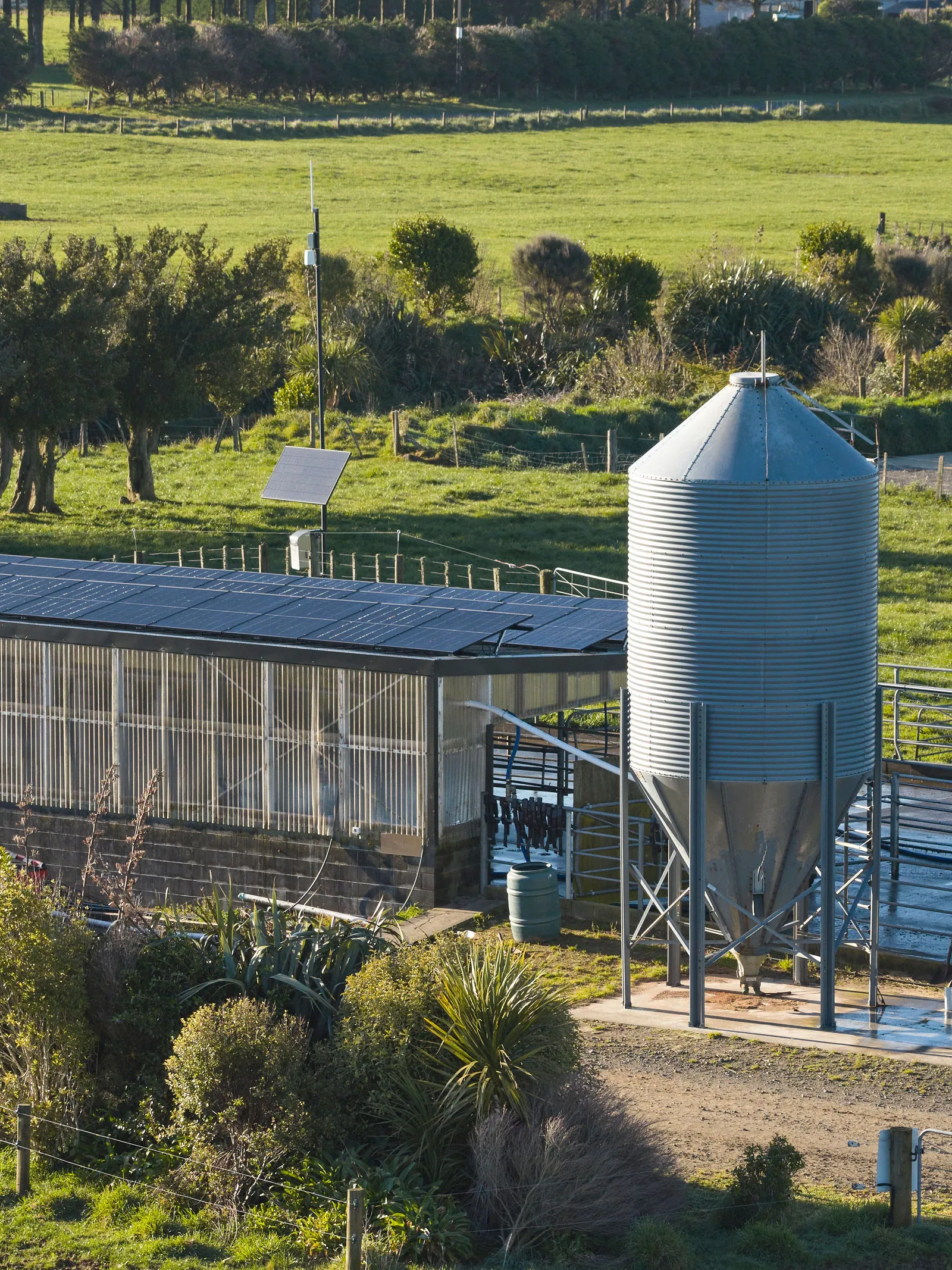 Solar on a dairy shed roof beside the feed silo and stockyards